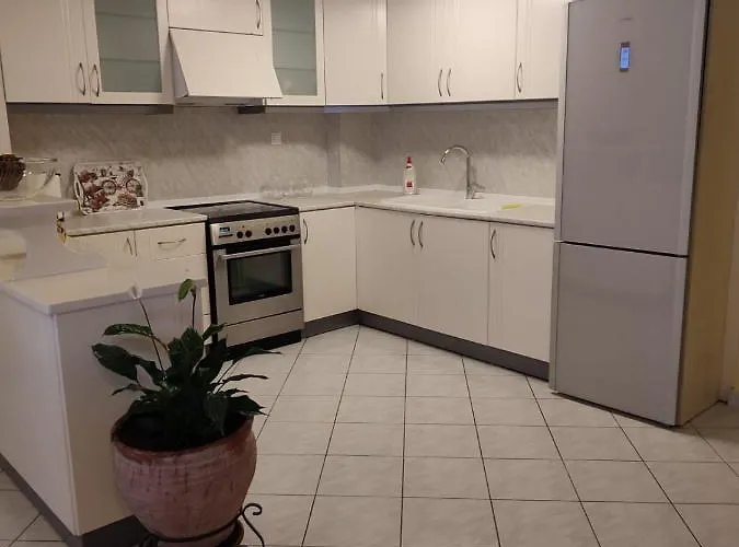 Blue Dolphins Apartment